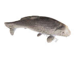 Eleven Target 3D Carp-0