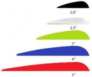 50stk Arizona Fjær m/lim-0