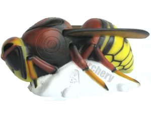 SRT Calabrone Hornet-0