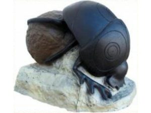 SRT Beetle-0