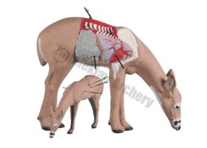 Rinehart Target 3D Anatomy Deer-0