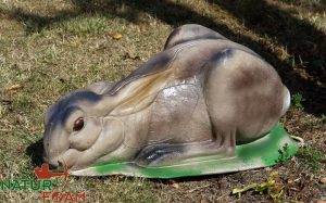 Liggende hare-0