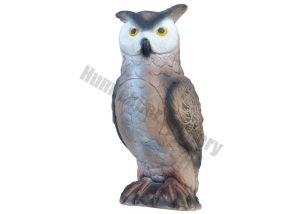 Eleven Target 3D Eagle Owl-0