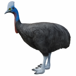 Eleven 3D Target Cassowary with Insert